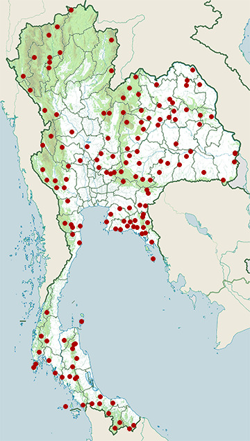 Distribution map of Many-banded krait, Bungarus wanghaotingi in Thailand