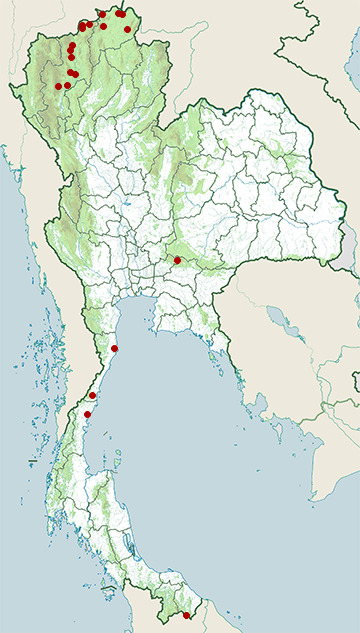 Distribution map of Common buzzard, Buteo buteo in Thailand