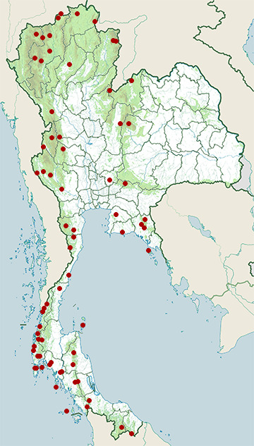 Distribution map of Forest crested lizard, Calotes emma in Thailand