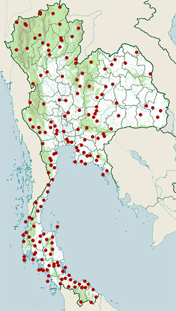 Distribution map of Garden crested lizard, Calotes versicolor in Thailand