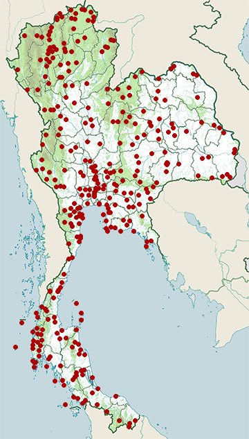 Distribution map of Greater coucal, Centropus sinensis in Thailand