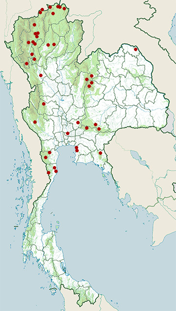 Distribution map of Chinese francolin, Francolinus pintadeanus in Thailand