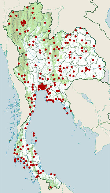 Distribution map of Golden tree snake, Chrysopelea ornata in Thailand