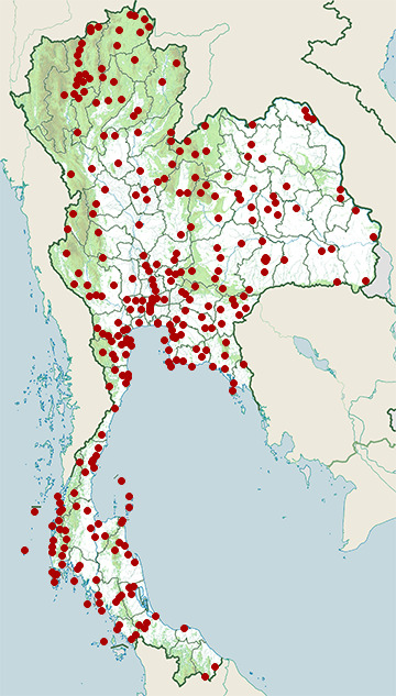 Distribution map of Olive-backed sunbird, Cinnyris jugularis in Thailand