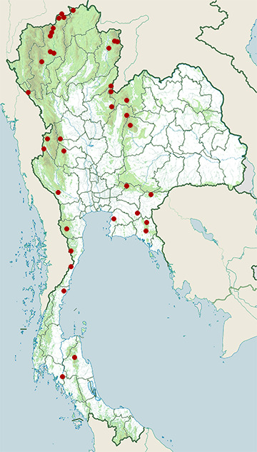 Distribution map of Collared owlet, Glaucidium brodiei in Thailand