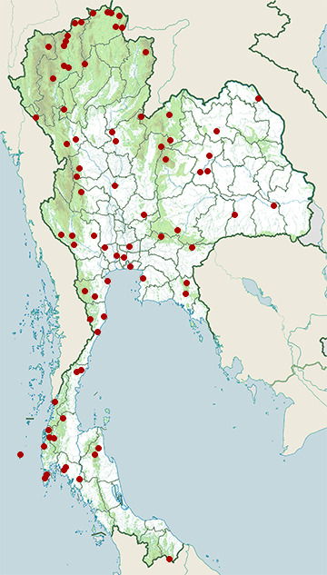 Distribution map of Collared scops owl, Otus lettia in Thailand