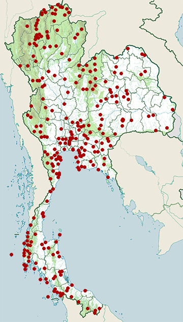 Distribution map of Common iora, Aegithina tiphia in Thailand