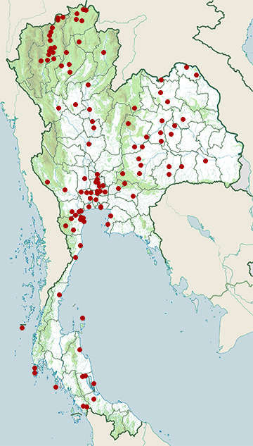 Distribution map of Common moorhen, Gallinula chloropus in Thailand
