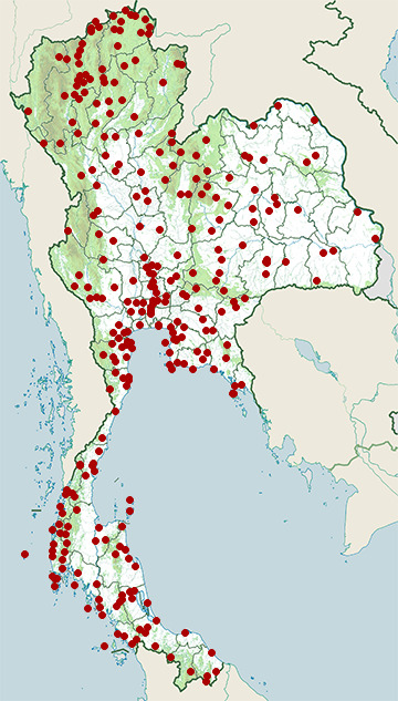 Distribution map of Oriental magpie-robin, Copsychus saularis in Thailand