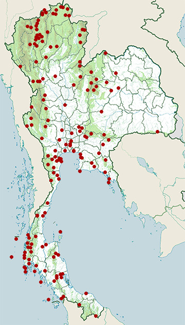 Distribution map of Oriental honey-buzzard, Pernis ptilorhynchus in Thailand