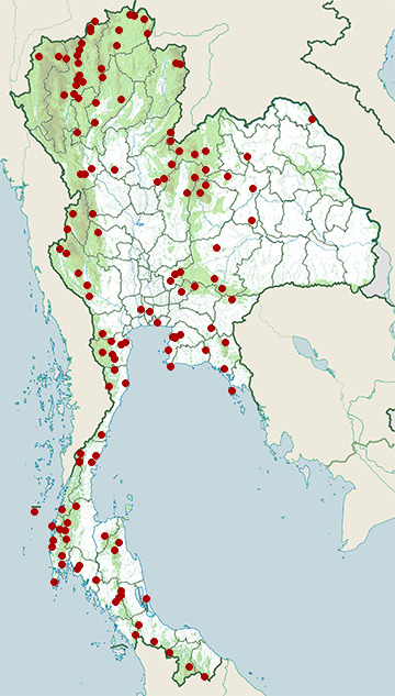 Distribution map of Crested serpent eagle, Spilornis cheela in Thailand
