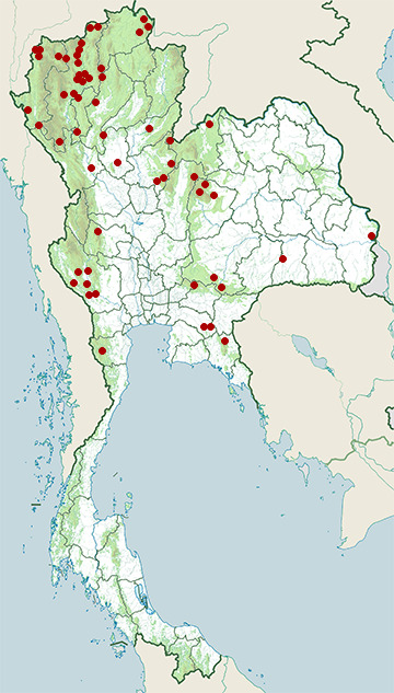 Distribution map of Crested treeswift, Hemiprocne coronata in Thailand