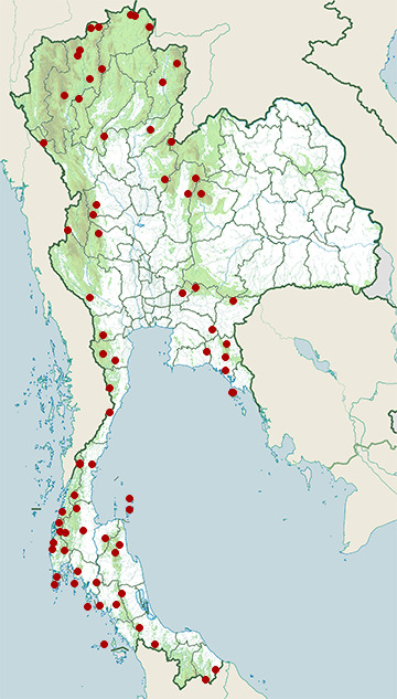 Distribution map of Crimson sunbird, Aethopyga siparaja in Thailand