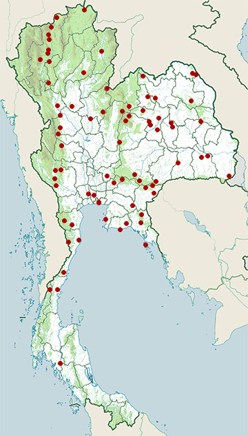 Distribution map of Hainan blue flycatcher, Cyornis hainanus in Thailand