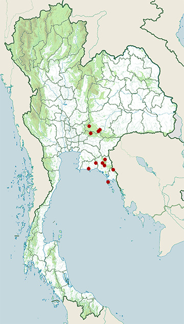 Distribution map of Intermediate bent-toed gecko, Cyrtodactylus intermedius in Thailand