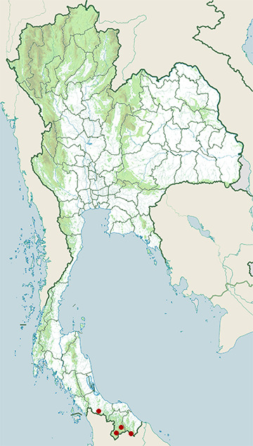 Distribution map of Peninsular bent-toed gecko, Cyrtodactylus peninsularis in Thailand