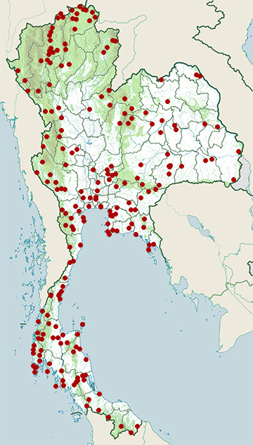 Distribution map of Dark-necked tailorbird, Orthotomus atrogularis in Thailand