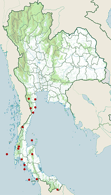 Distribution map of Dusky leaf monkey, Trachypithecus obscurus in Thailand