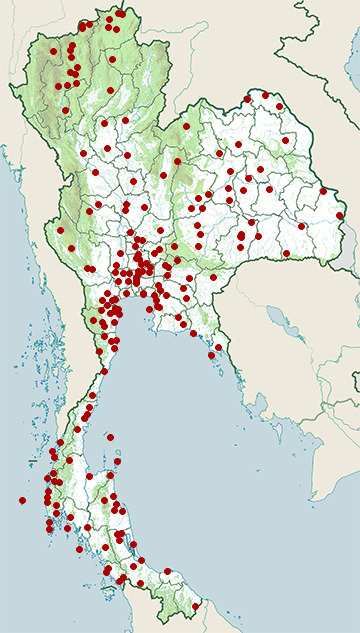 Distribution map of Great egret, Ardea alba in Thailand