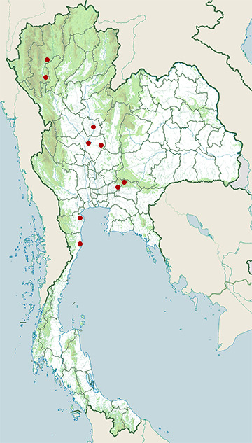 Distribution map of Eastern imperial eagle, Aquila heliaca in Thailand