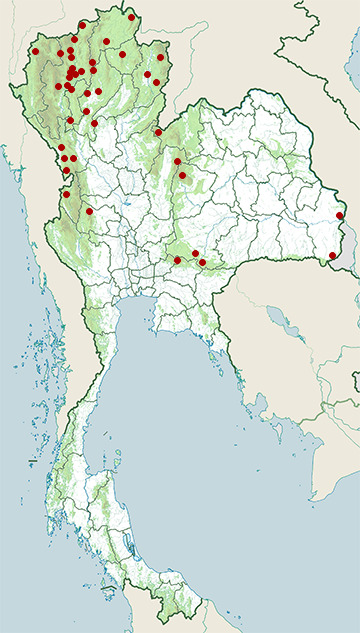 Distribution map of White-faced jay, Garrulus leucotis in Thailand