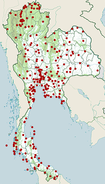 Distribution map of Eurasian tree sparrow, Passer montanus in Thailand