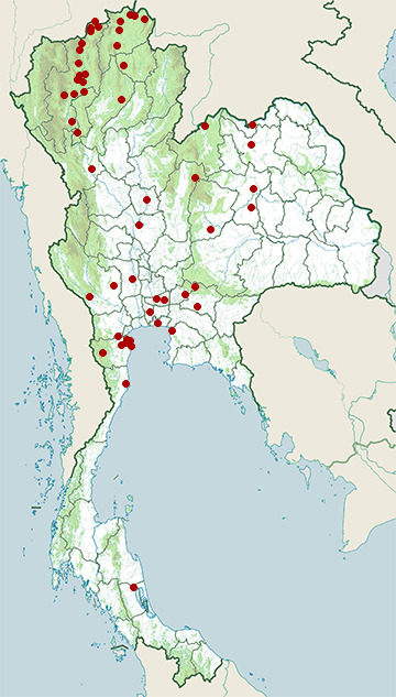Distribution map of Eurasian wryneck, Jynx torquilla in Thailand