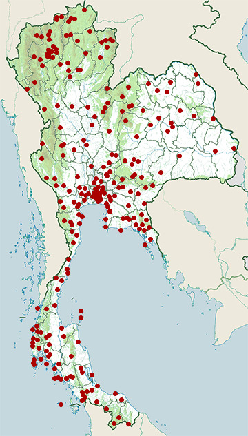Distribution map of Asian rice frog, Fejervarya limnocharis in Thailand
