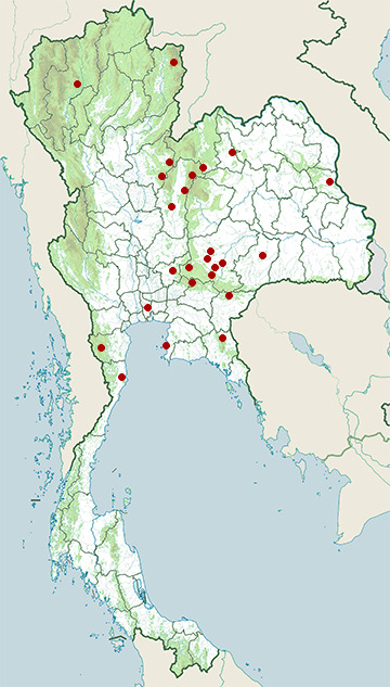 Distribution map of Finlayson's squirrel, Callosciurus finlaysonii in Thailand