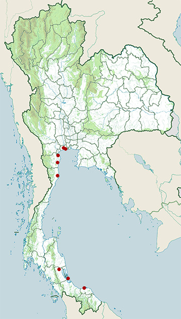 Distribution map of Fishing cat, Prionailurus viverrinus in Thailand