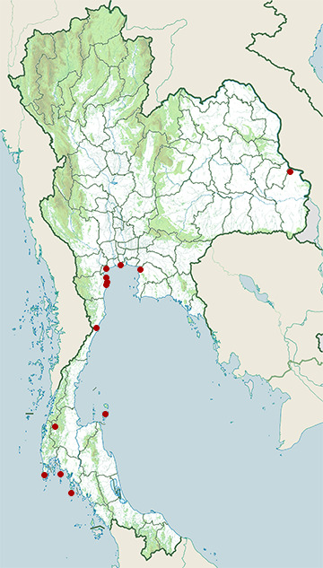 Distribution map of Lesser frigatebird, Fregata ariel in Thailand