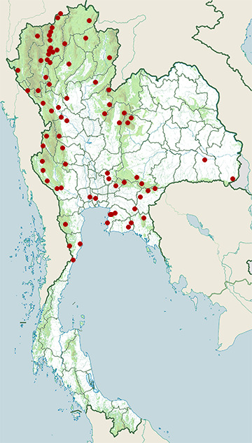 Distribution map of White-crested laughingthrush, Garrulax leucolophus in Thailand