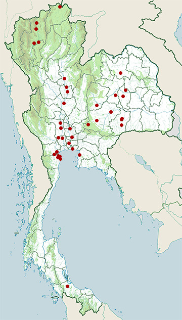Distribution map of Glossy ibis, Plegadis falcinellus in Thailand