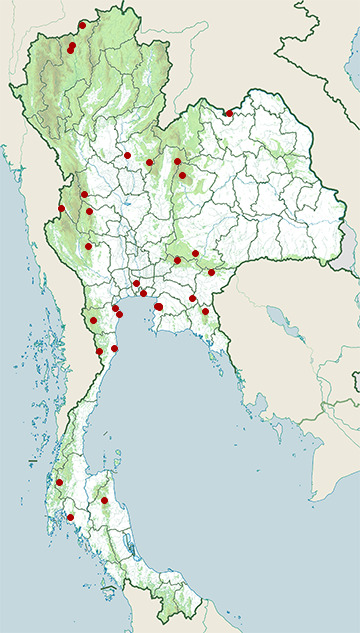 Distribution map of Golden-crested myna, Ampeliceps coronatus in Thailand
