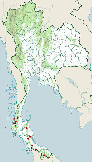Distribution map of Great argus, Argusianus argus in Thailand