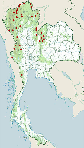 Distribution map of Great barbet, Psilopogon virens in Thailand