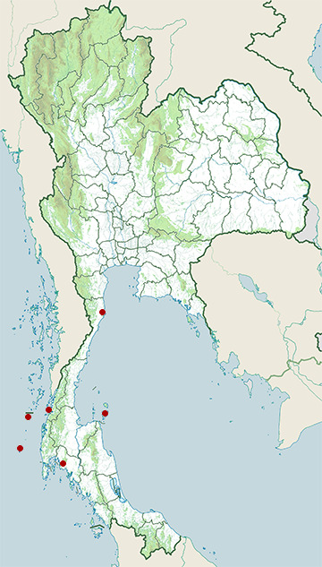 Distribution map of Great-billed heron, Ardea sumatrana in Thailand