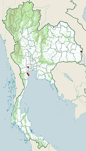 Distribution map of Great thick-knee, Esacus recurvirostris in Thailand