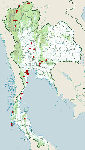 Distribution map of Greater spotted eagle, Clanga clanga in Thailand