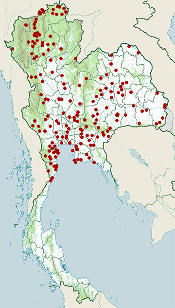Distribution map of Green bee-eater, Merops orientalis in Thailand