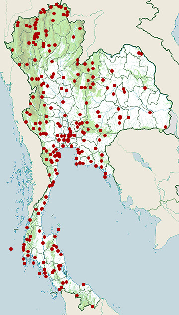 Distribution map of Green-billed malkoha, Phaenicophaeus tristis in Thailand