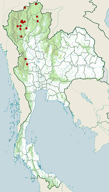 Distribution map of Green peafowl, Pavo muticus in Thailand