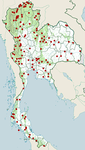 Distribution map of Grey-headed canary-flycatcher, Culicicapa ceylonensis in Thailand