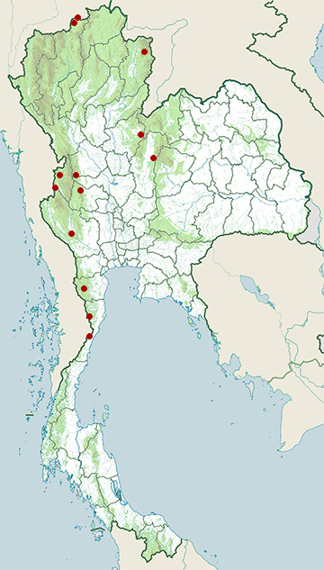 Distribution map of Grey peacock-pheasant, Polyplectron bicalcaratum in Thailand