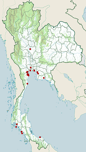 Distribution map of Gull-billed tern, Gelochelidon nilotica in Thailand