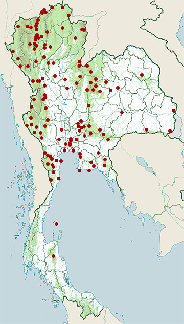 Distribution map of Hair-crested drongo, Dicrurus hottentottus in Thailand