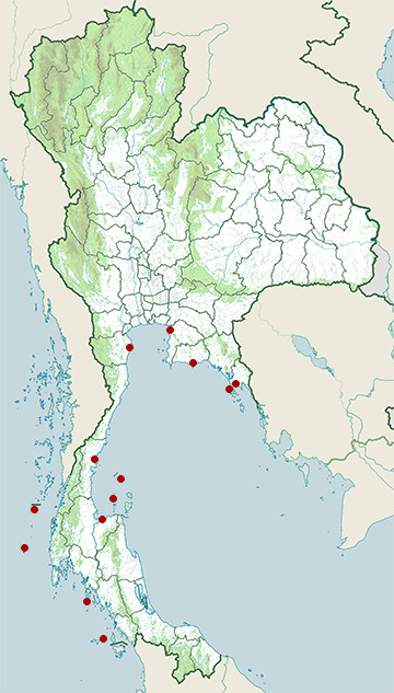 Distribution map of Hawksbill sea turtle, Eretmochelys imbricata in Thailand