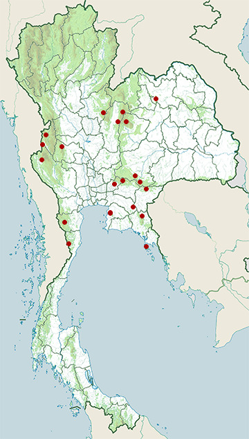 Distribution map of Heart-spotted woodpecker, Hemicircus canente in Thailand