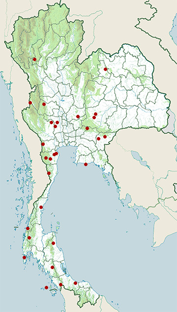 Distribution map of Common house gecko, Hemidactylus frenatus in Thailand