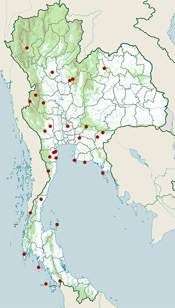 Distribution map of Flat-tailed house gecko, Hemidactylus platyurus in Thailand